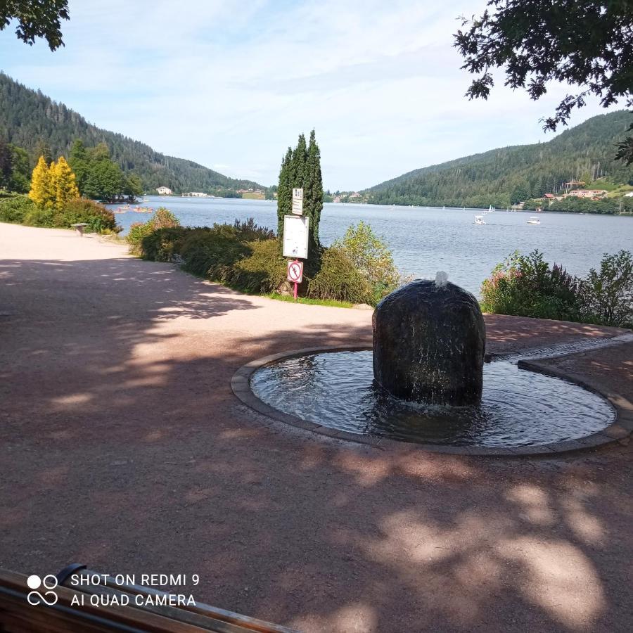 Appartement Les Balcons De La Chalande Le Tholy Gerardmer, Jardin,Balcon, Terrasse, المظهر الخارجي الصورة